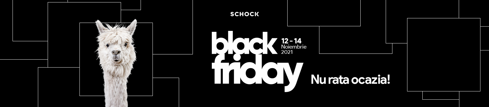 Black Friday Weekend 2021